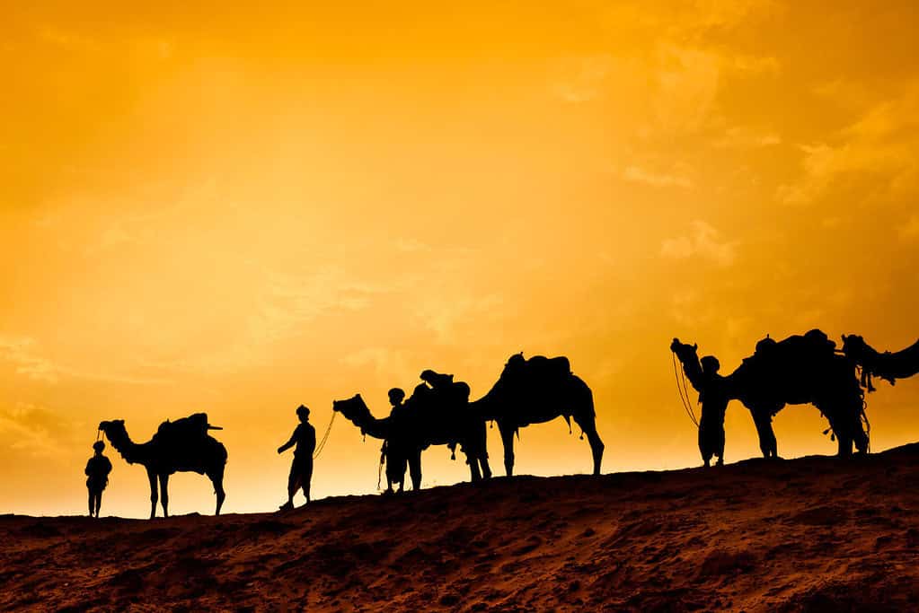 Silk Roads the Routes Network of Changan Tianshan Corridor Silk Roads_ the Routes Network of Chang'an-Tianshan Corridor