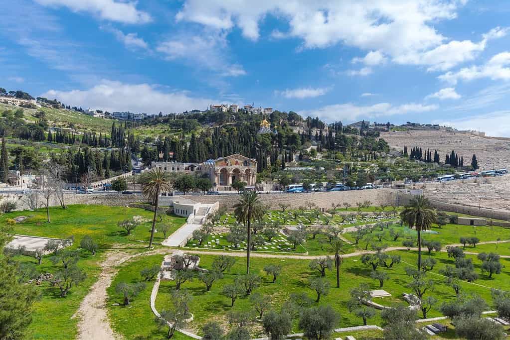 The mount of Olives