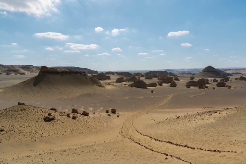 Wadi El Hitan Egypt