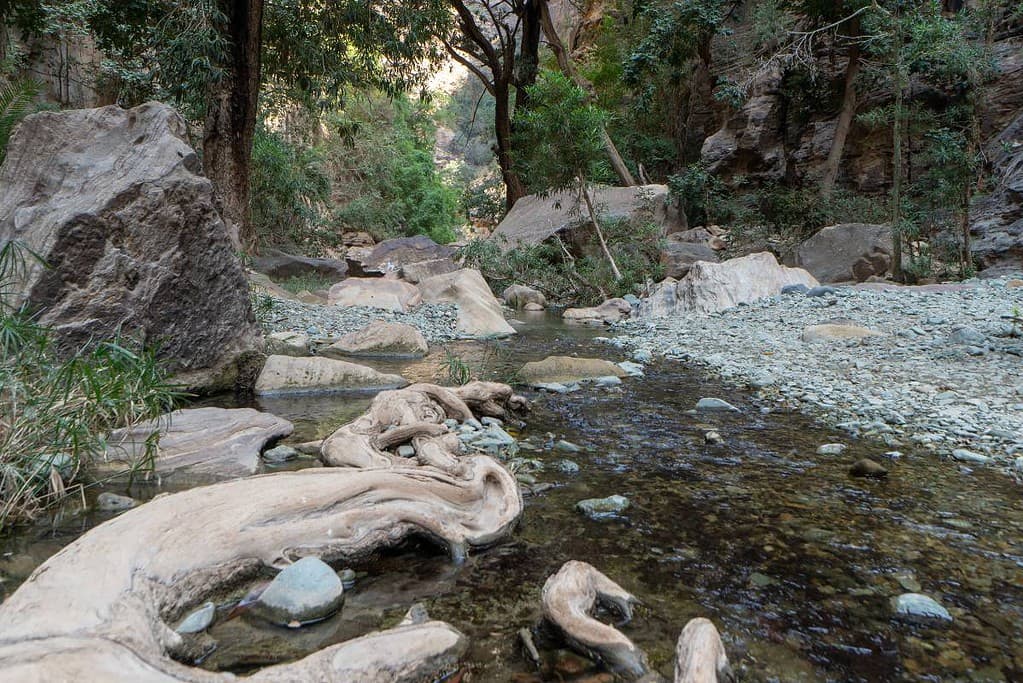 Wadi Lajab Saudi Arabia