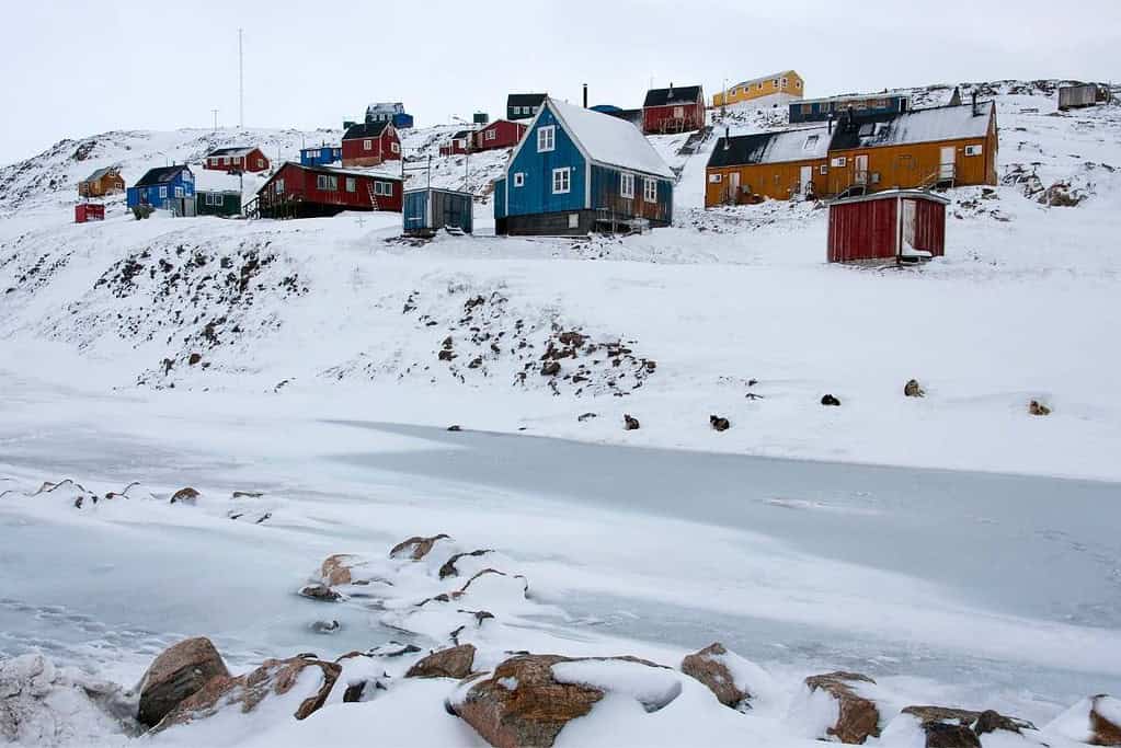 last-minute Arctic cruise_ Scoresby Sound