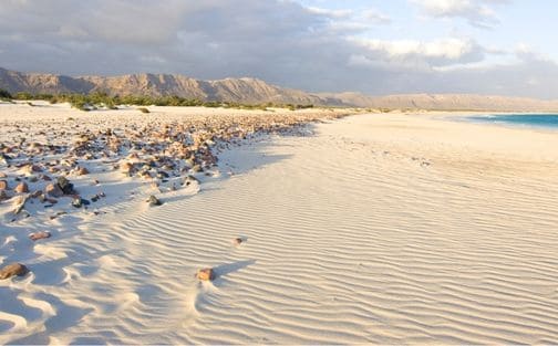 Socotra Island - A Guide to Yemen's Natural Wonder Aomak Beach Socotra Island