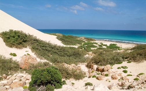 Arher Beach Socotra Island