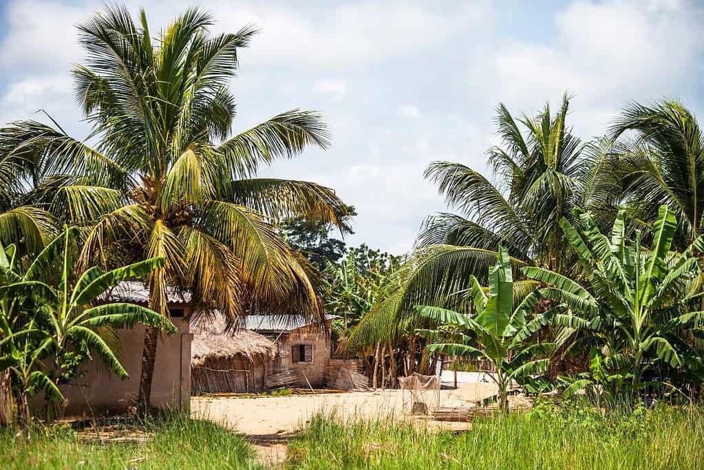 Benin Travel Benin