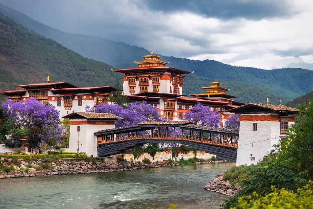 Bhutan Travel Bhutan