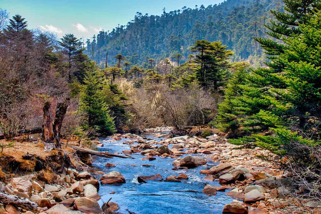 Jigme Dorji National Park JDNP UNESCO sites Jigme Dorji National Park (JDNP)