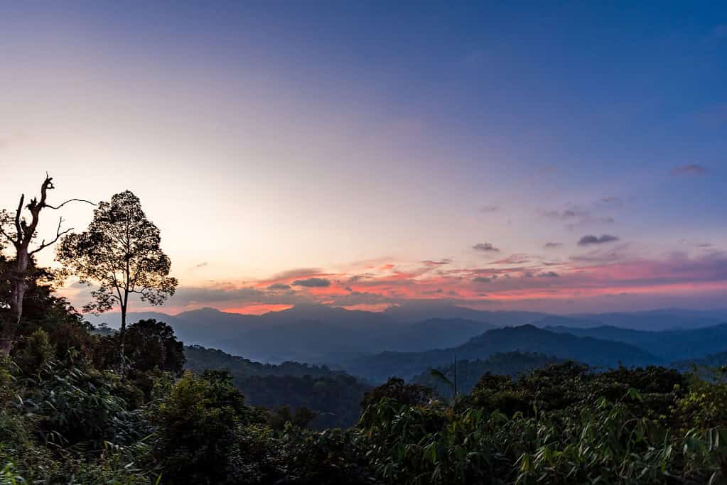 Kaeng Krachan Forest Complex UNESCO sites Kaeng Krachan Forest Complex