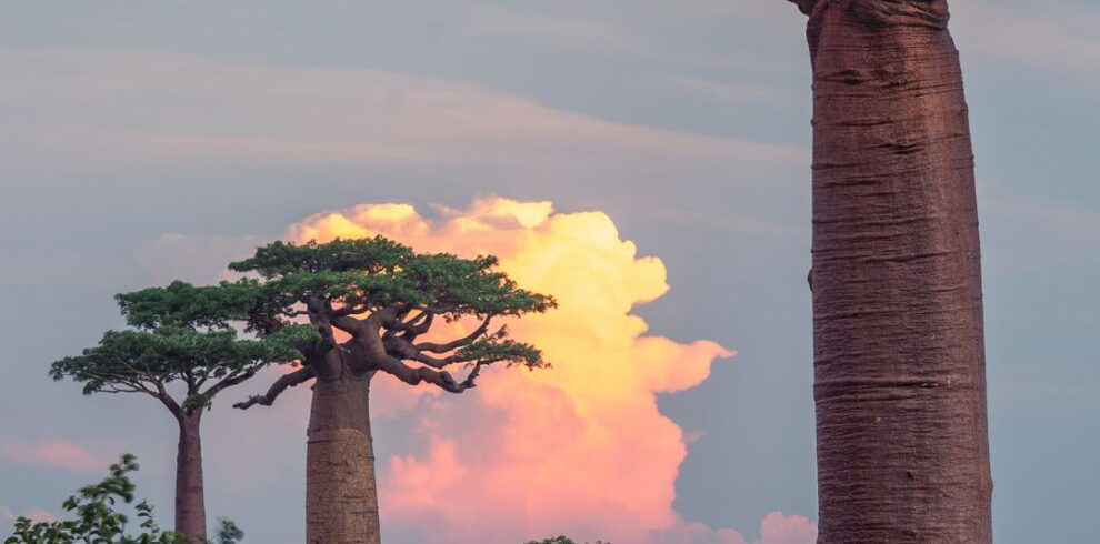 RJ Travel Agency in Morocco Madagascar travel destination