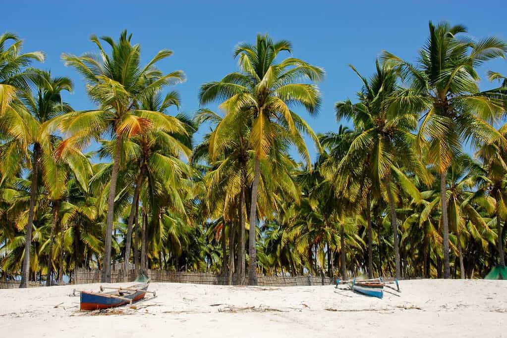 Mozambique Travel Mozambique