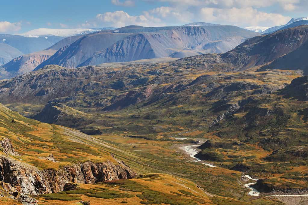 Petroglyphic Complexes of the Mongolian Altai Petroglyphic Complexes of the Mongolian Altai