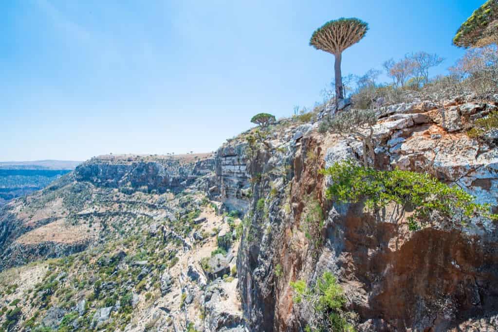 Socotra Island 1 Socotra Island