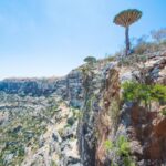 Socotra Island 1 Socotra Island
