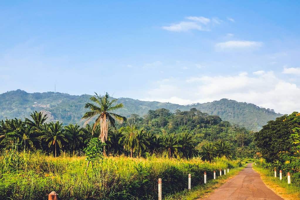 Togo Travel Togo