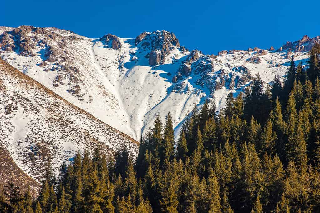 Western Tien Shan Western Tien-Shan