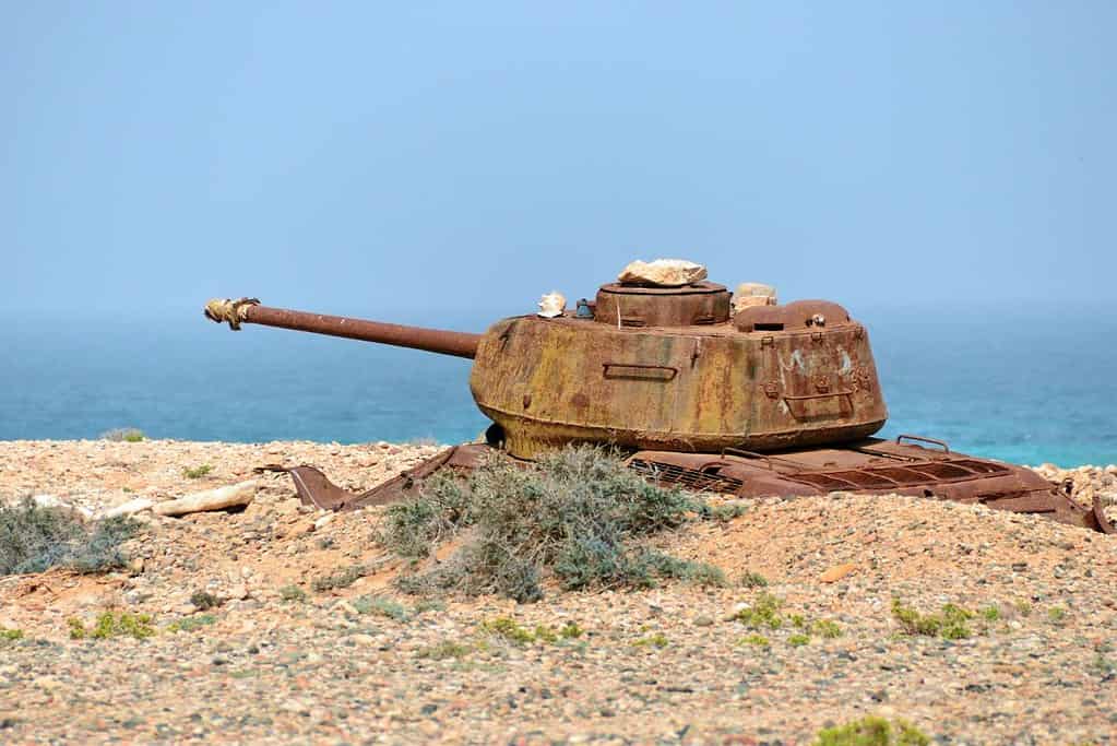 Why Visit Socotra Island Why Visit Socotra Island