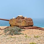 Why Visit Socotra Island Why Visit Socotra Island