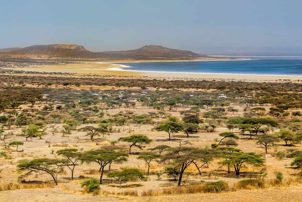 Abijatta Shalla National Park 4 Attractions Abijatta-Shalla National Park