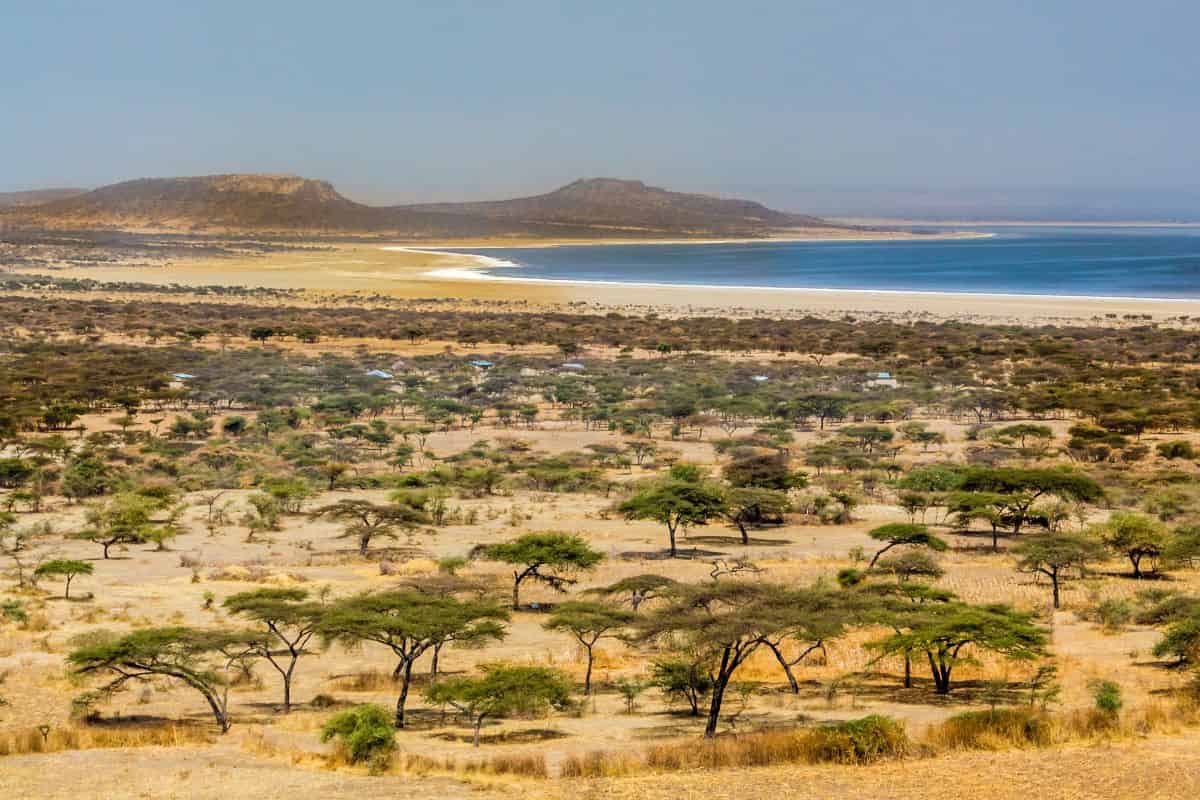 Abijatta-Shalla National Park