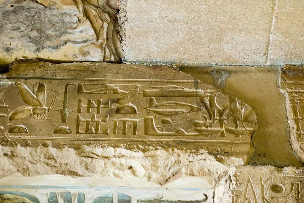 Abydos 2 Abydos