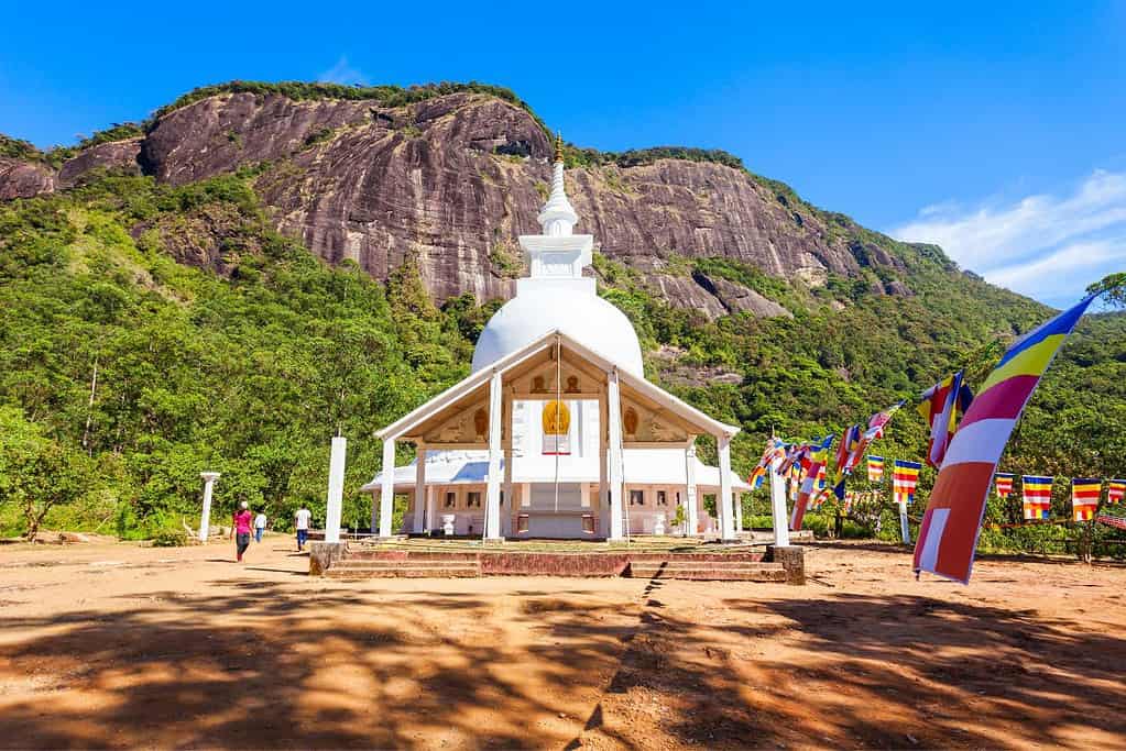 Adams Peak 4 Adam's Peak