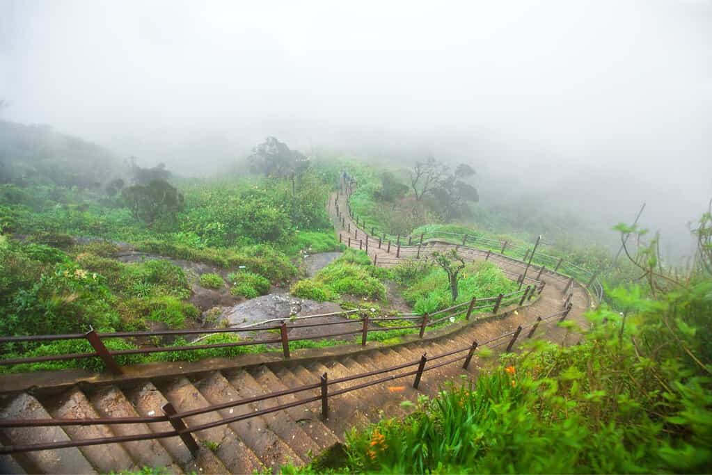 Adams Peak 9 Adam's Peak