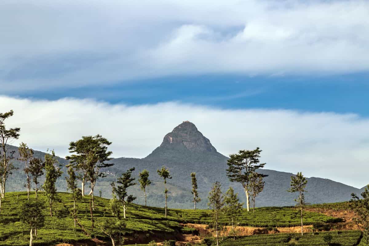 Travel to Adam's Peak