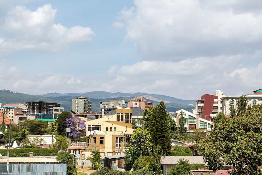 Addis Ababa 5 Addis Ababa