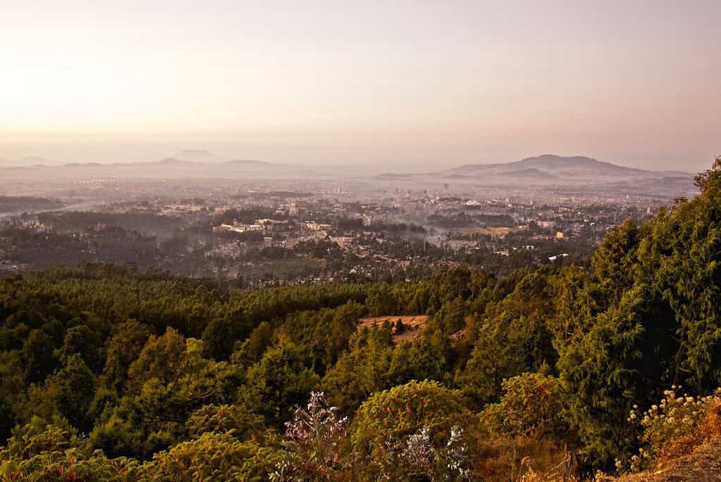 Addis Ababa 7 Addis Ababa
