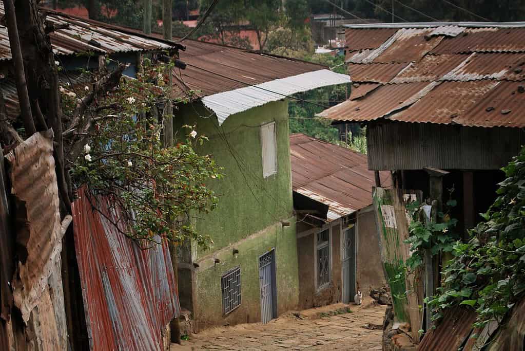 Addis Ababa 8 Addis Ababa