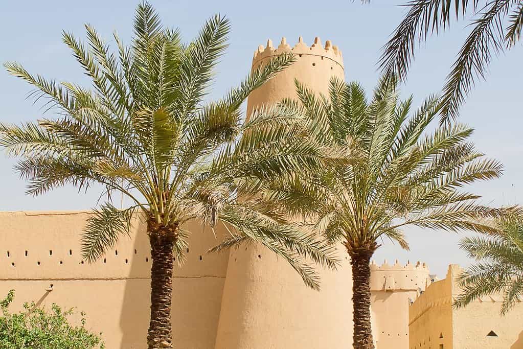 Al Masmak Fortress 3 Al Masmak Fortress