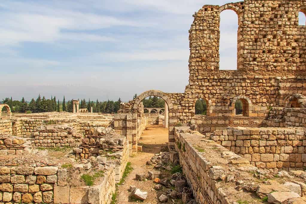 Anjar 10 Anjar