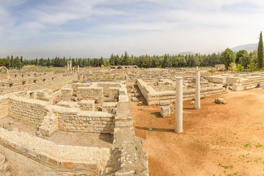 Anjar 8 Anjar