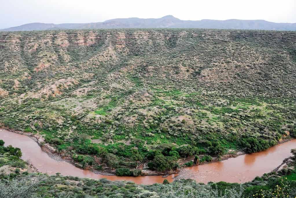 Awash National Park Awash National Park