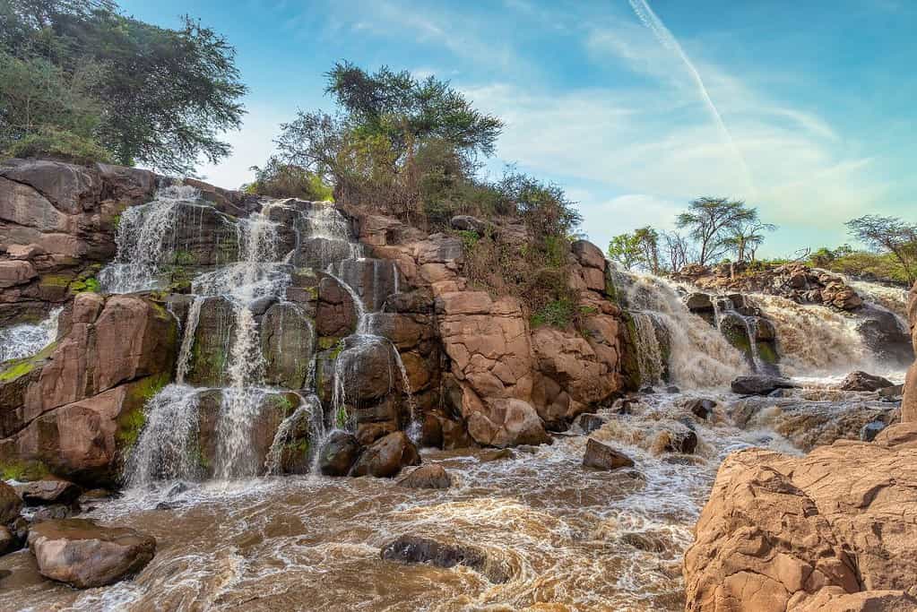 Awash National Park 2 Awash National Park