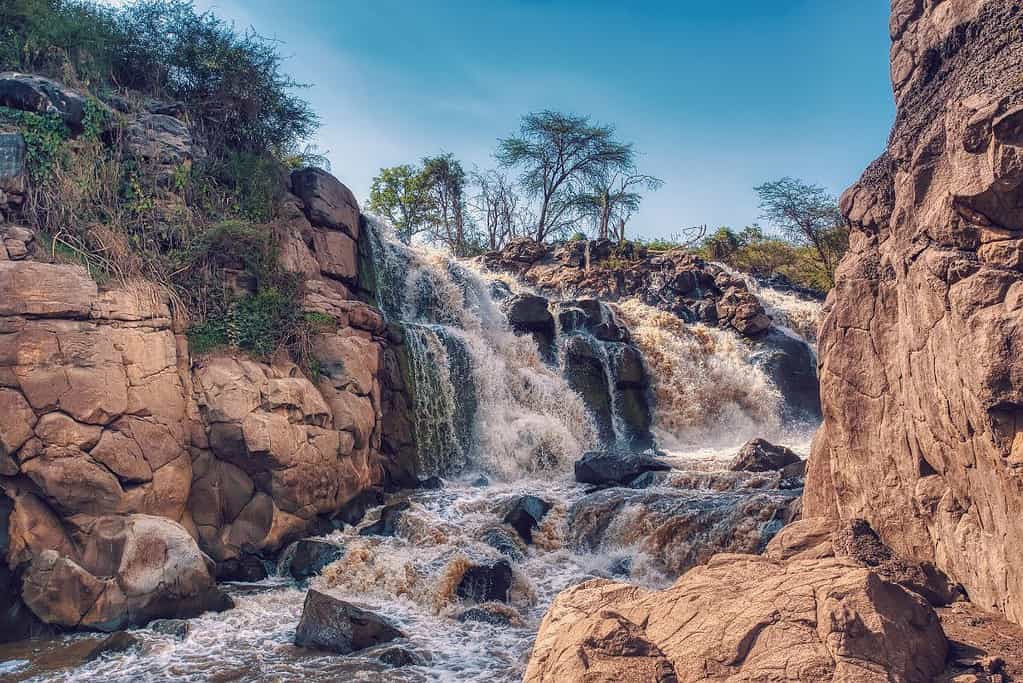 Awash National Park 4 Awash National Park
