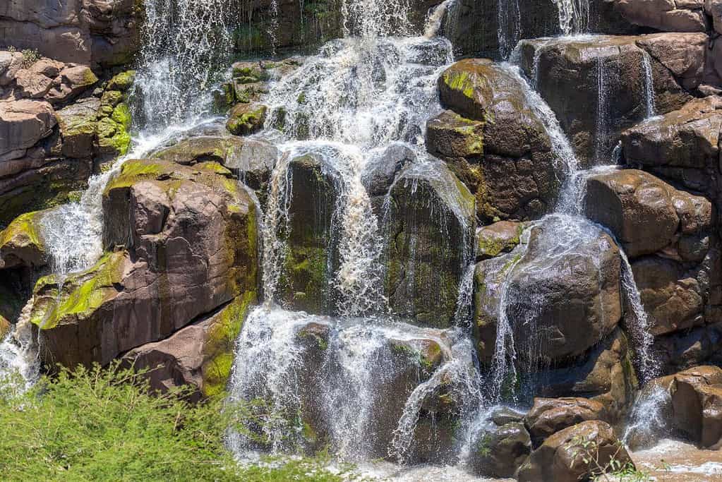 Awash National Park 5 Awash National Park