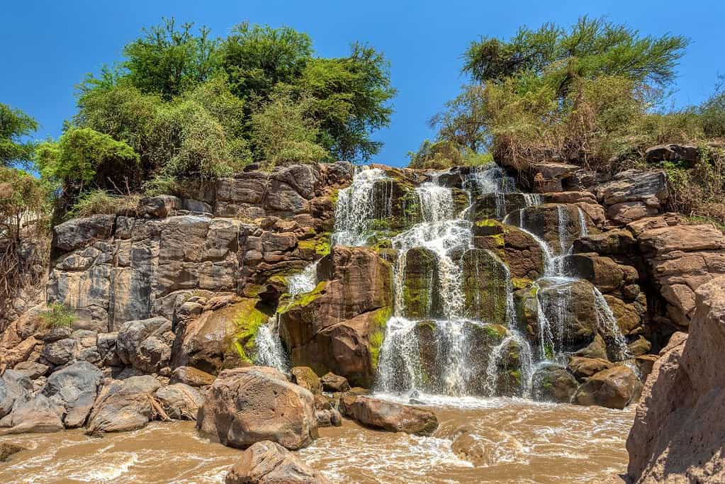 Awash National Park Ethiopia 2 Awash National Park - Ethiopia