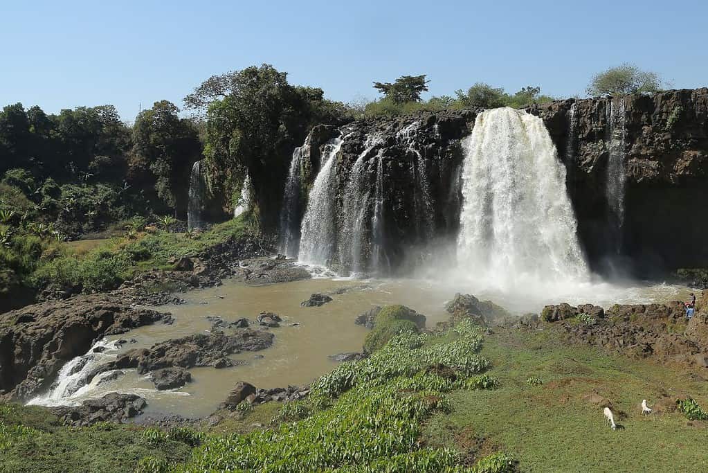Blue Nile Falls Tis Issat 7 Blue Nile Falls (Tis Issat)