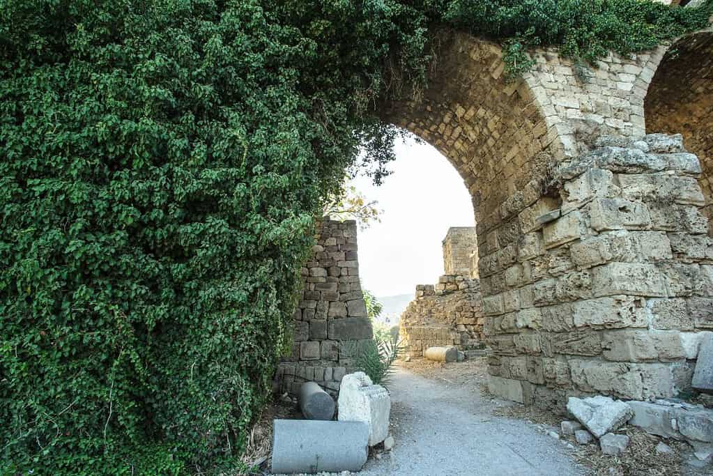 Byblos 7 Byblos