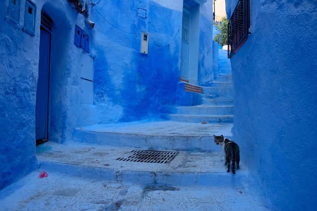 Chefchaouen The Blue City Chefchaouen (The Blue City)