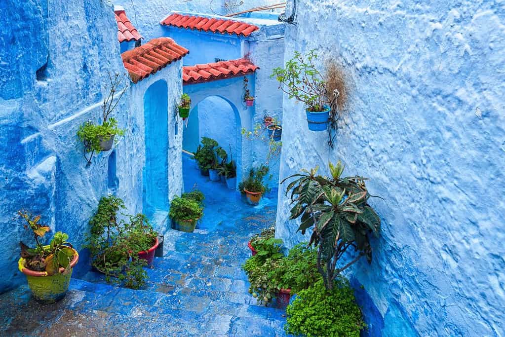 Chefchaouen The Blue City Rif Mountains 2 Chefchaouen (The Blue City), Rif Mountains