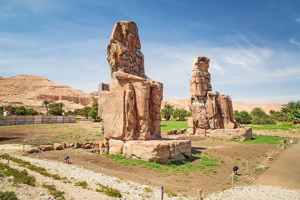 Colossi of Memnon 5 Colossi of Memnon