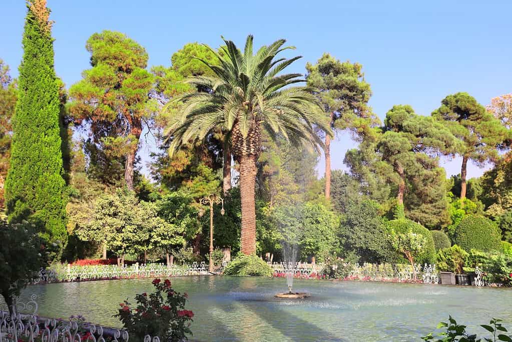 Eram Garden 10 Eram Garden