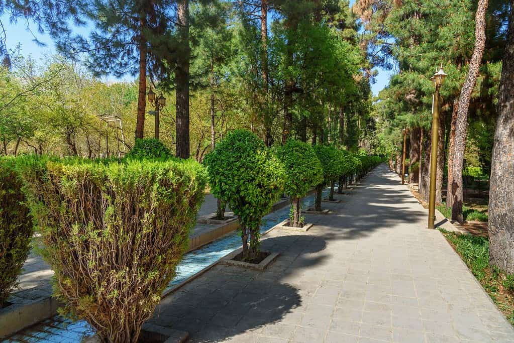 Eram Garden 2 Eram Garden