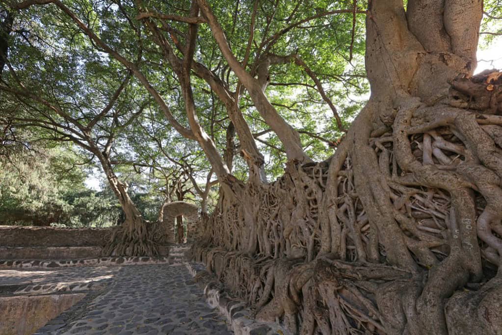 Gondar 7 Gondar