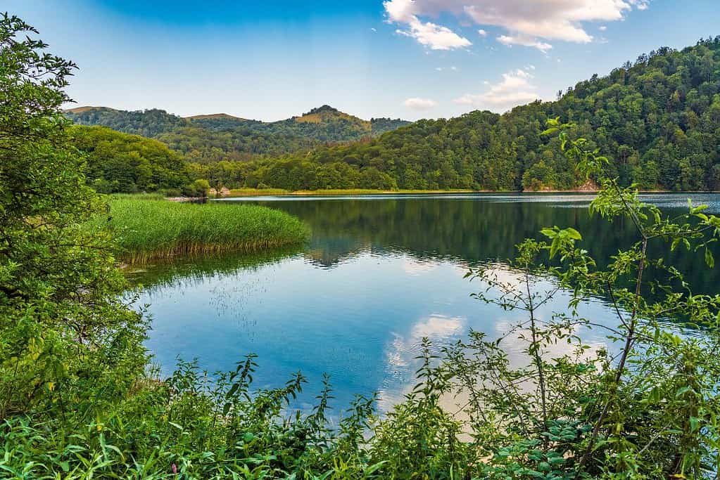 Goygol National Park Azerbaijan 2 Goygol National Park - Azerbaijan
