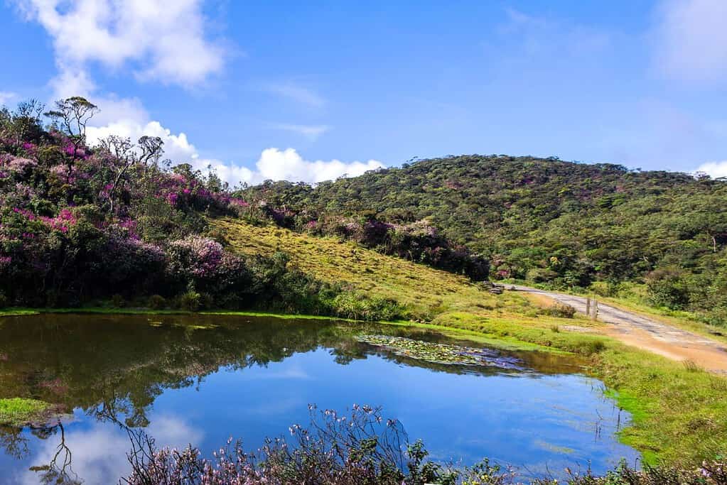 Horton Plains National Park 3 Horton Plains National Park