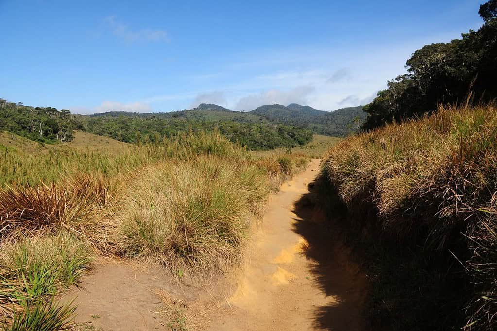 Horton Plains National Park 4 Horton Plains National Park