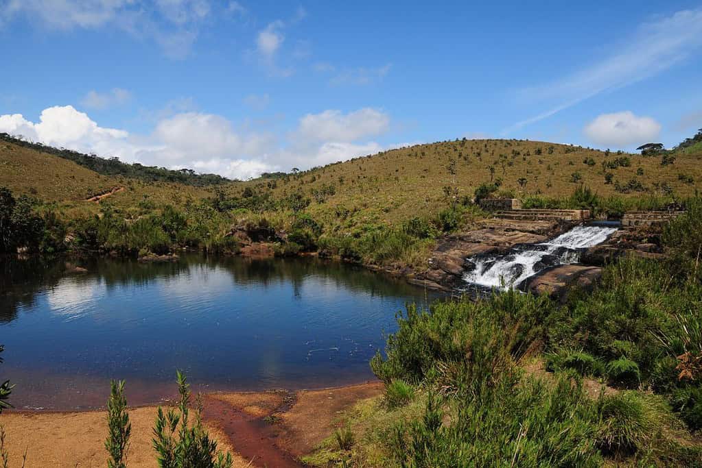 Horton Plains National Park 5 Horton Plains National Park