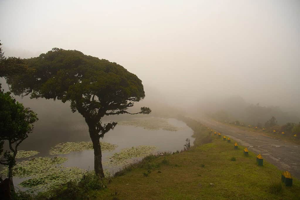 Horton Plains National Park 6 Horton Plains National Park